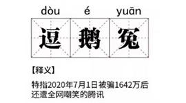 “逗鹅冤”刷屏网络的背后，种种细节引财务人员深思。